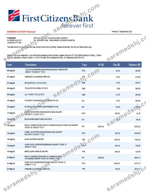 First Citizens Bank business statement Word and PDF template